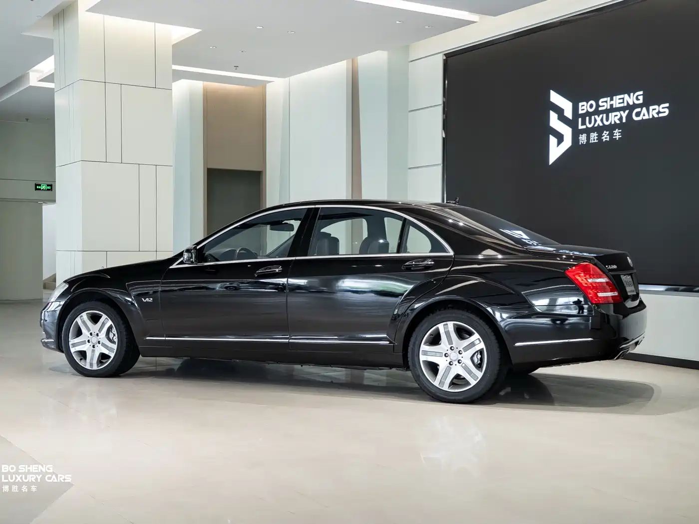 Mercedes-Benz S-Class 2010 S 600 L фото 5