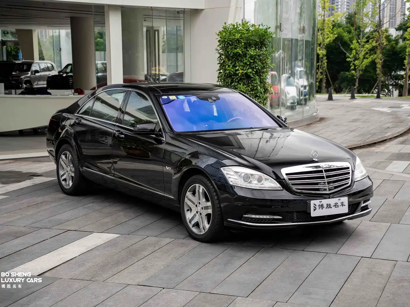 Mercedes-Benz S-Class 2010 S 600 L фото 20