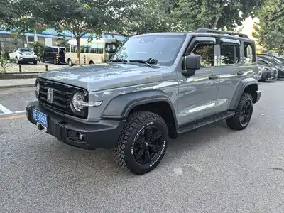 Tank 300
