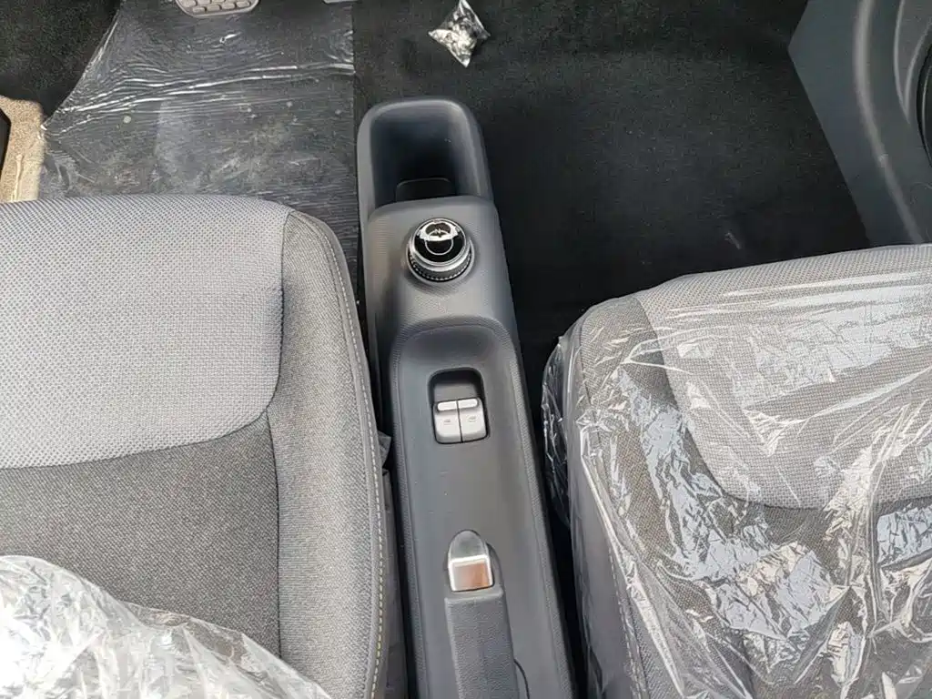 Wuling Motors Wuling Zhiguang NEV 2026 2025 Model 305km Base Version