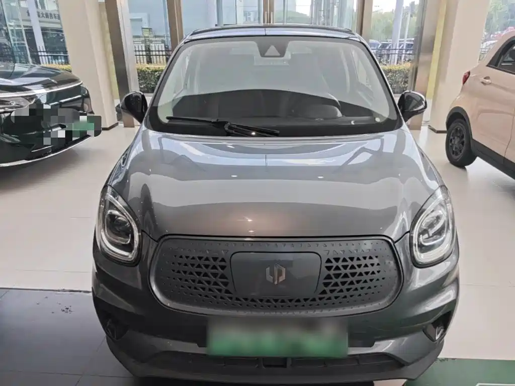 Leapmotor T03 2021 2020 400 Luxury Edition