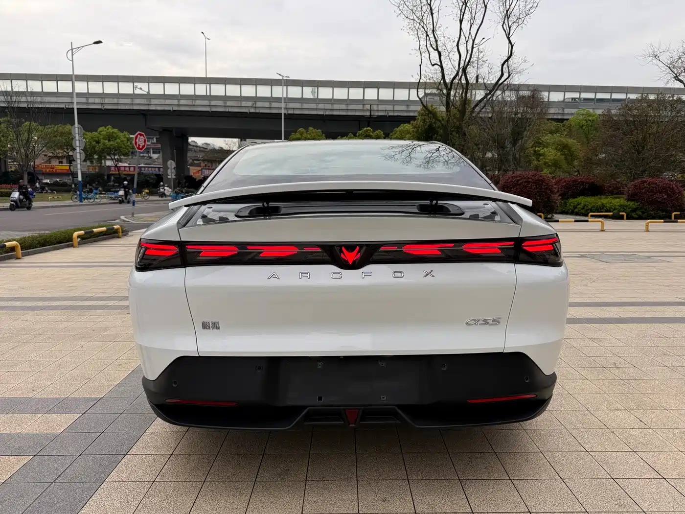 ARCFOX EXTREME FOX POLAR FOX ALPHA S5