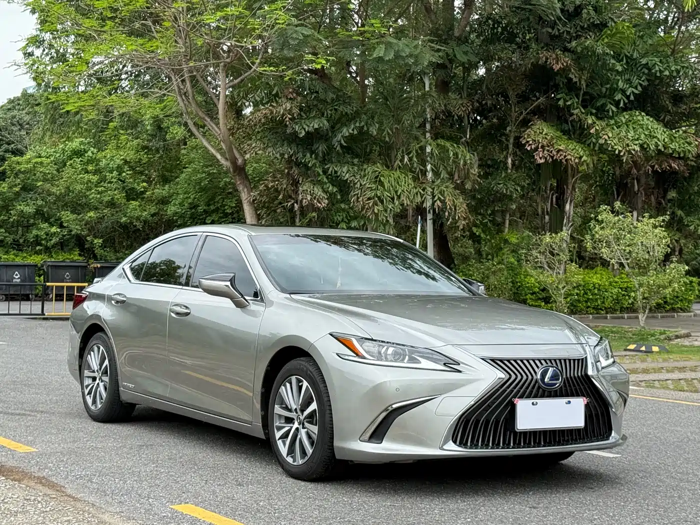 Lexus ES 2021 300h Excellence Edition фото 3