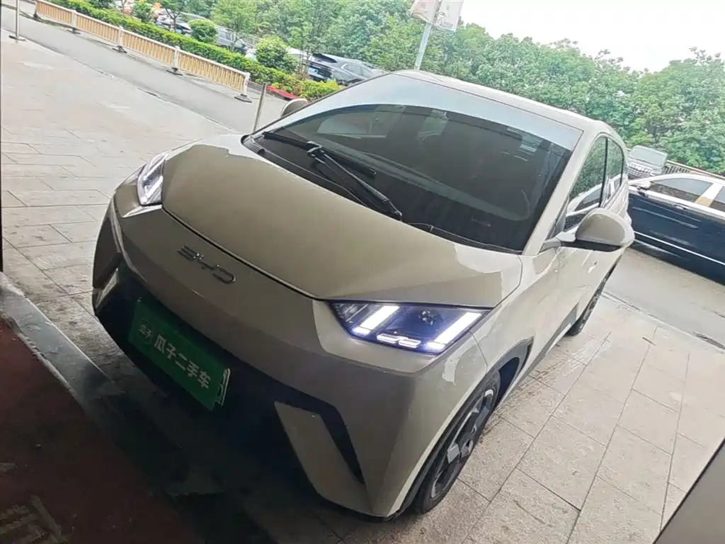 BYD Seagull 2023 Vitality Edition фото 2