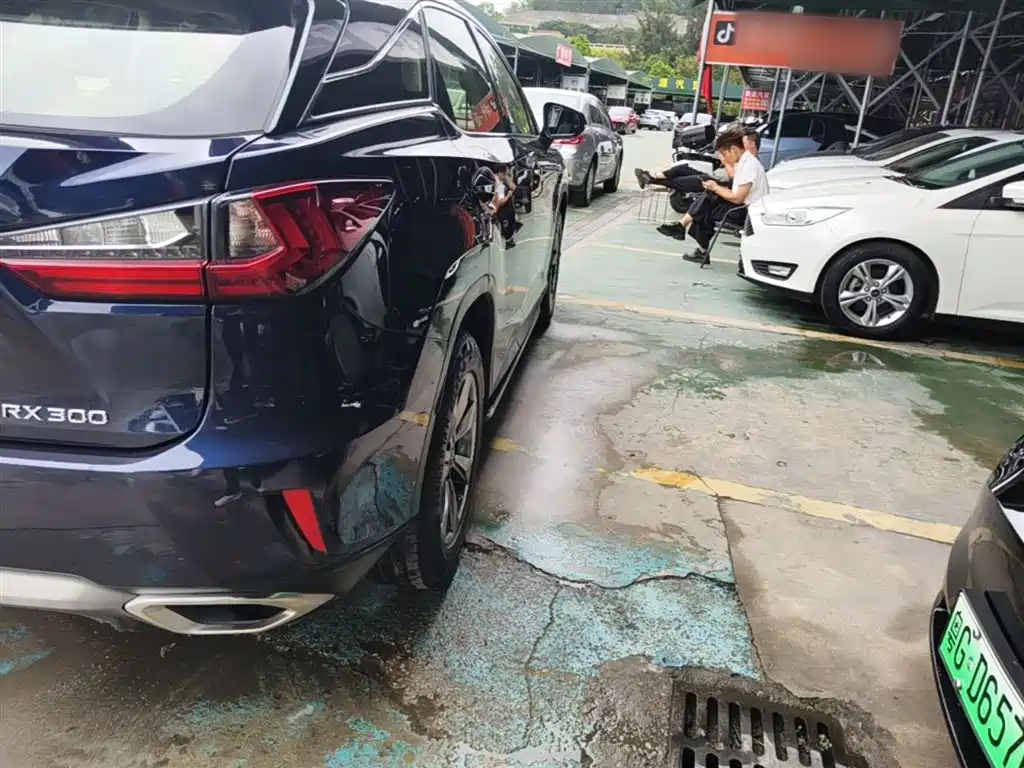 Lexus RX 2016 300 2WD Elite Edition (China V) фото 7