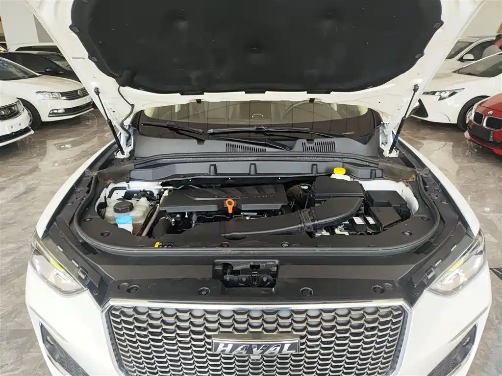 Haval F5 2019 National Trend Edition 1.5T iTrend China VI фото 20