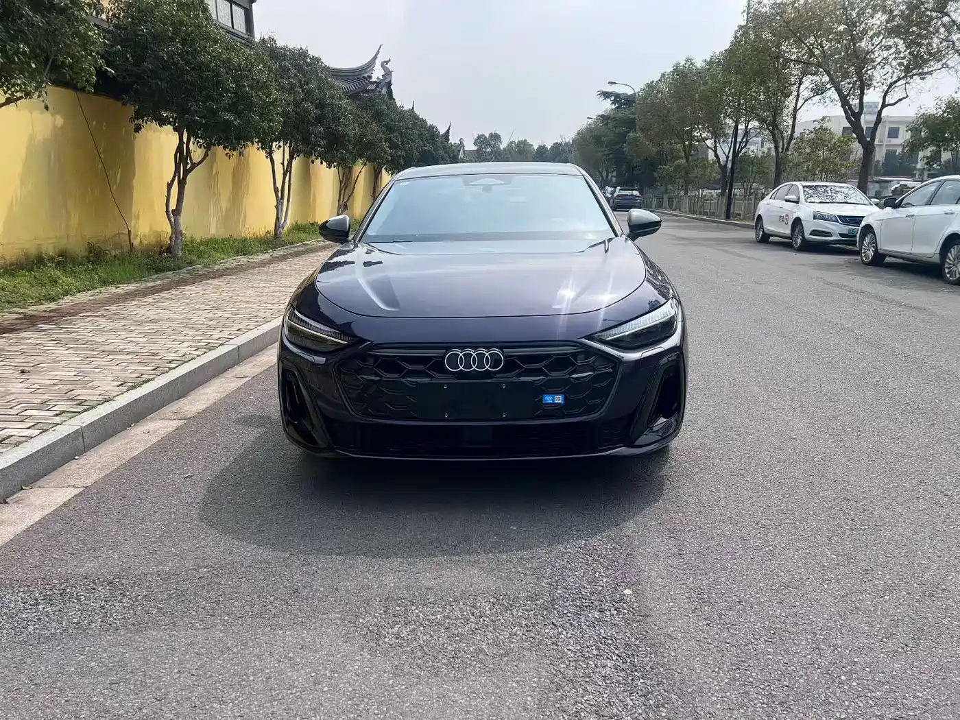 AUDI A5L