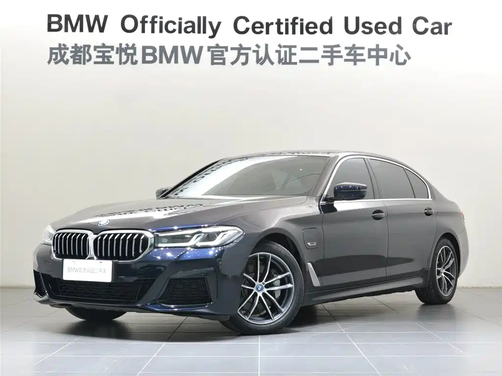 BMW 5 SERIES NEW ENERGY