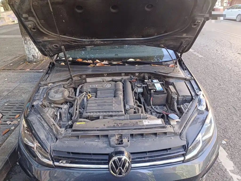 Фото 16 - Volkswagen Golf