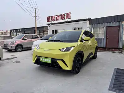 BYD Seagull