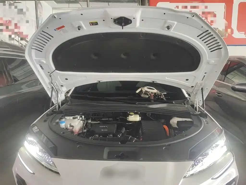 BYD Song PLUS PHEV 2025 DM-i Smart Drive Edition 160KM Flagship фото 20