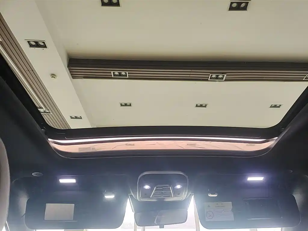 BYD Tang New Energy 2024 DM-i Honor Edition 112KM Premium фото 18