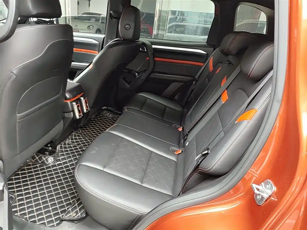 Haval Big Dog 2021 1.5T DCT 2WD Border Collie - Wangcai Edition фото 17
