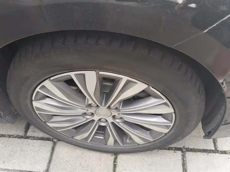 Hongqi E-QM5 2023 620km PLUS фото 6