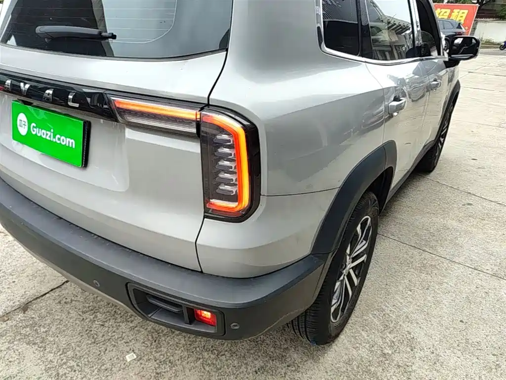 Haval Big Dog 2021 1.5T DCT 2WD Border Collie - Wangcai Edition фото 8