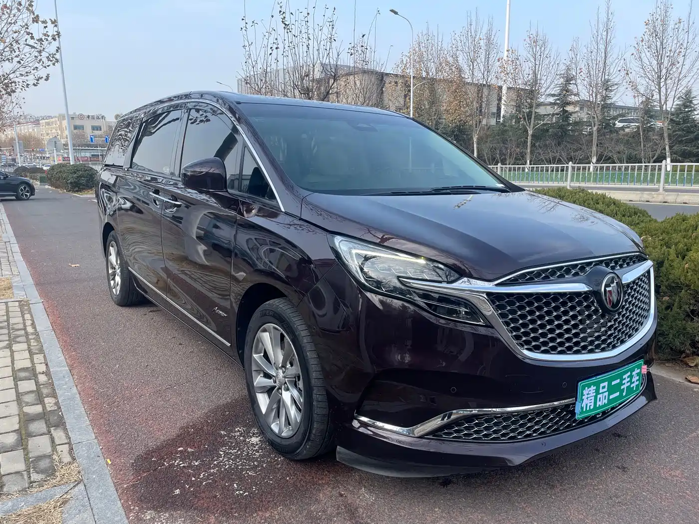 Buick GL8 2020 Avenir Six-Seat Elegance Edition фото 3