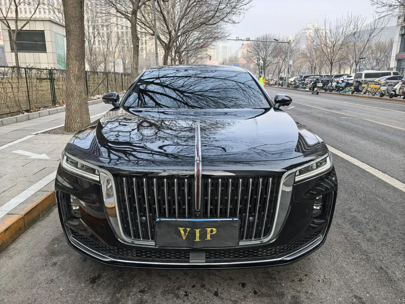 Hongqi H9 2020 3.0T Smart Connection Qi Chang Edition фото 2