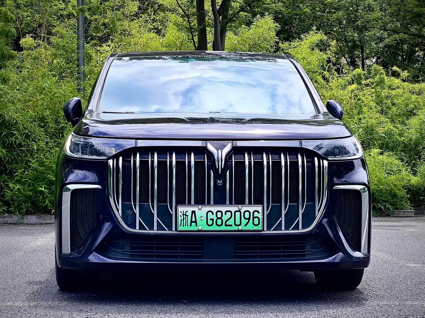 Voyah Auto Voyah Dreamer 2024 PHEV Extended Range Flagship Edition фото 2