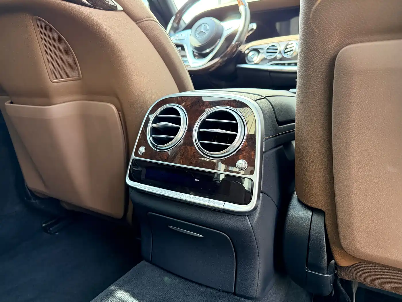 Mercedes-Benz S-Class 2020 S 350 L Premium Edition Collector's Version фото 15