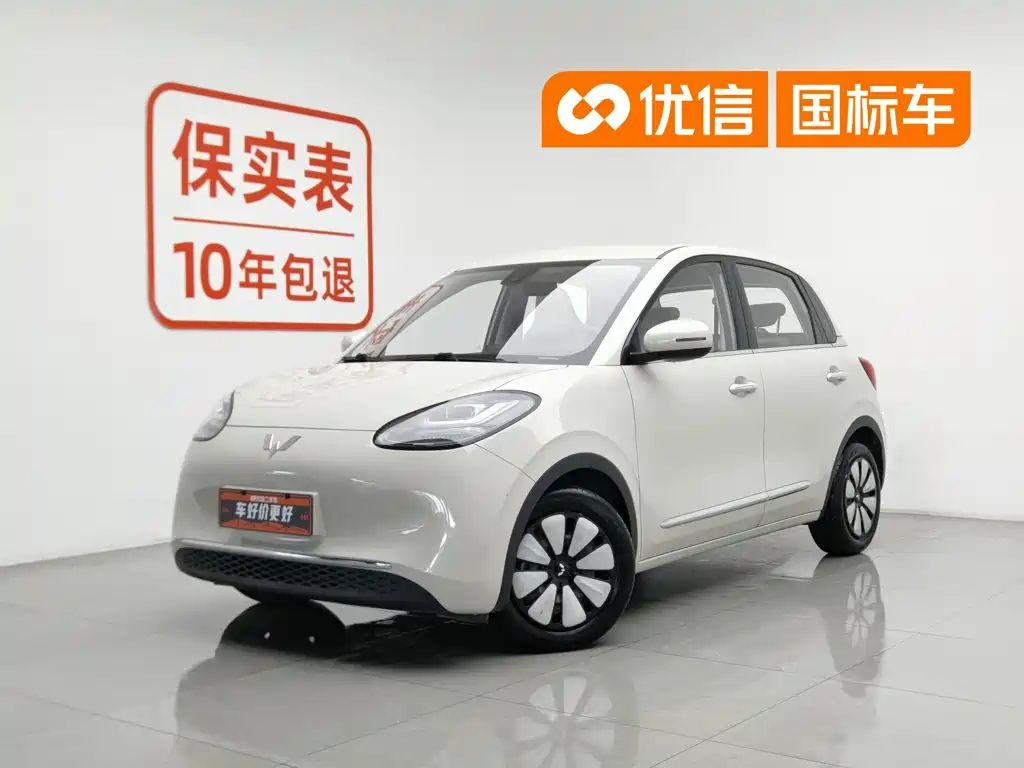 Wuling Motors Wuling Bingo 2023 203km Comfort Version