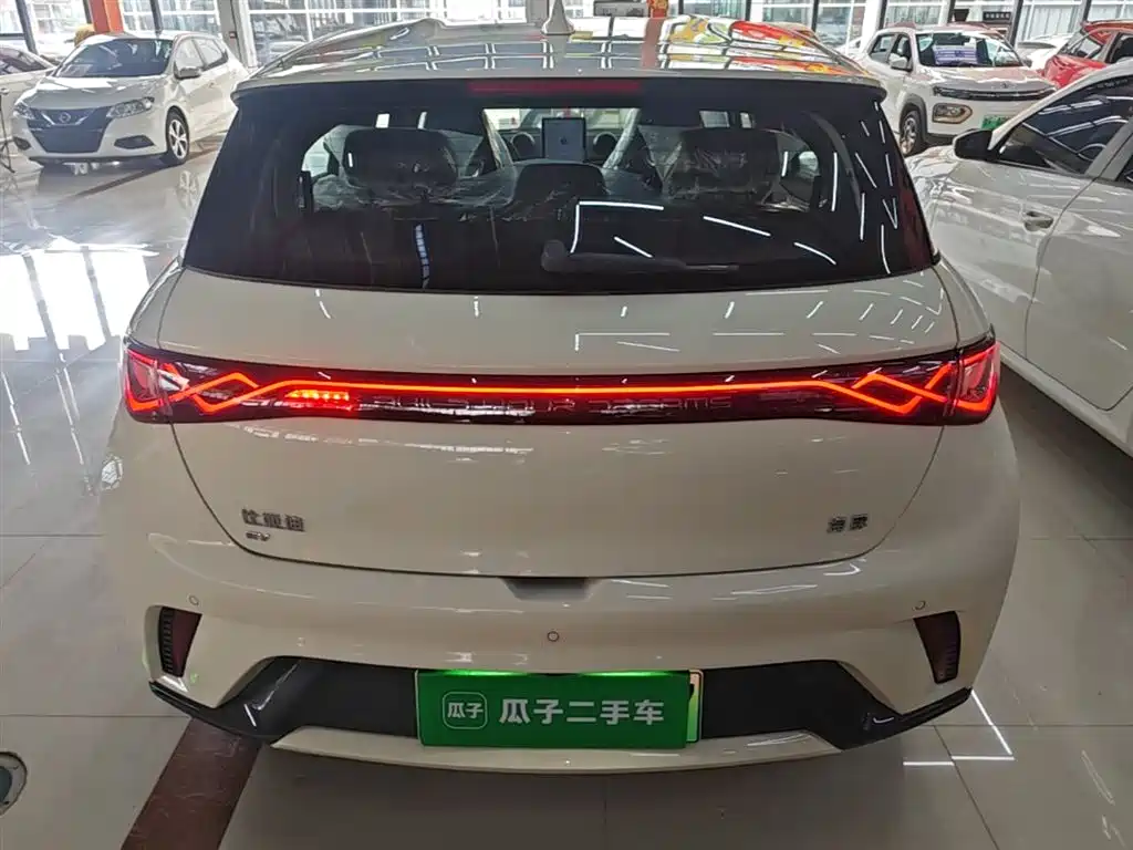 BYD Dolphin 2025 420km Freedom Edition фото 6