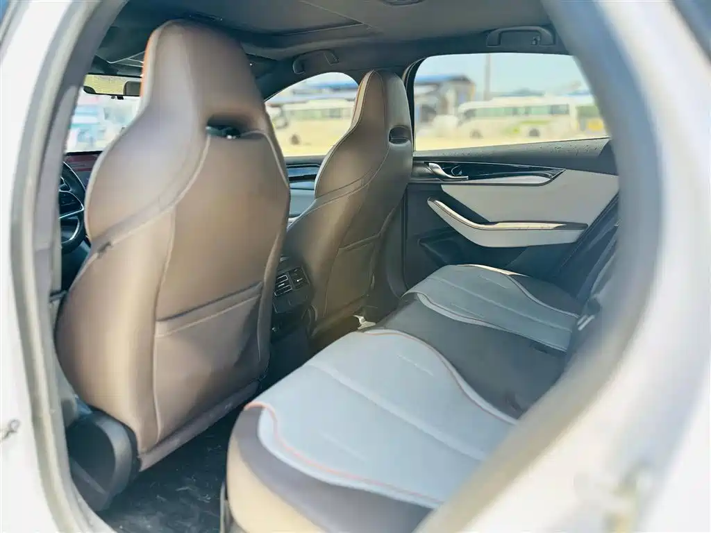 BYD Qin PLUS 2023 Champion Edition DM-i 120KM Excellence фото 5