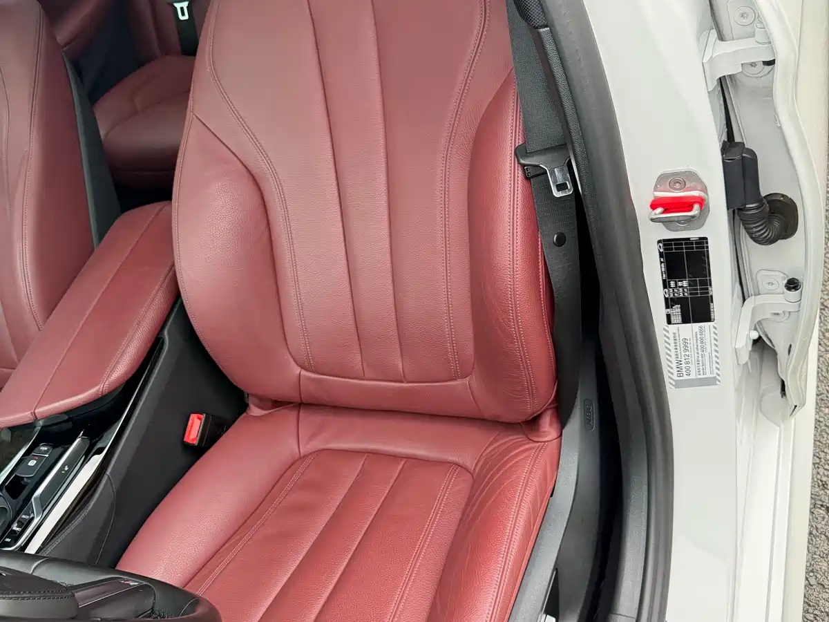 BMW 5 Series 2020 530Li Leading M Sport Package фото 15