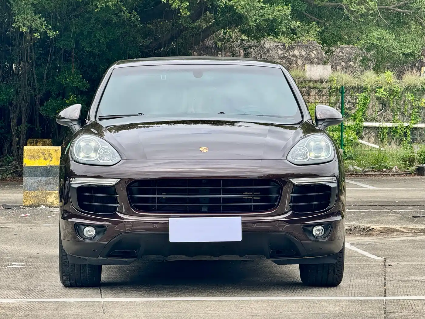 Porsche Cayenne 2016 Cayenne 3.0T фото 2