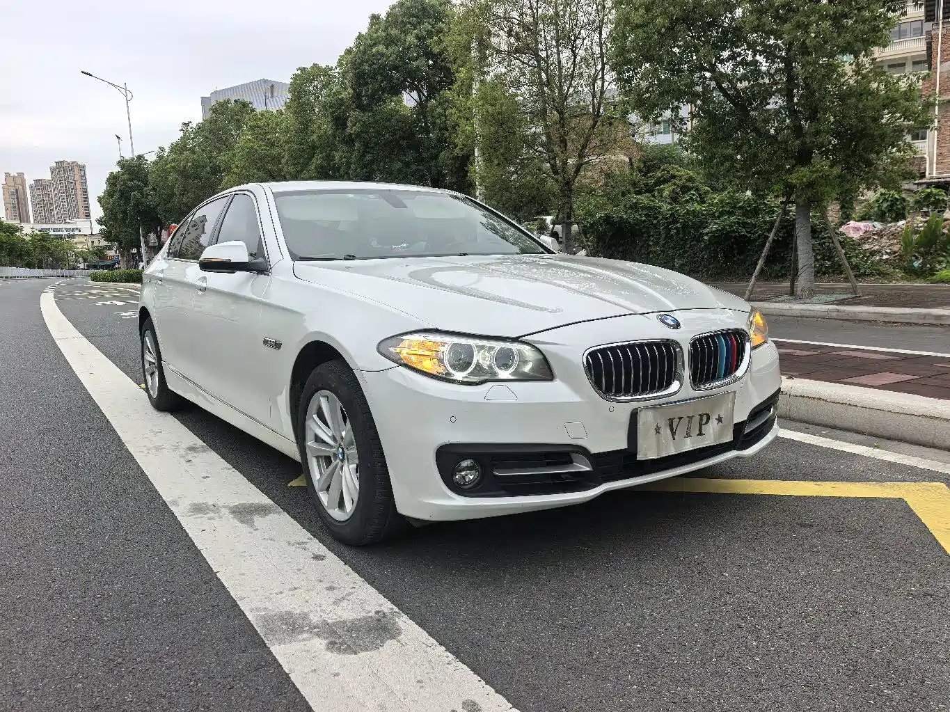 BMW 5 Series 2014 520Li Elegance фото 3