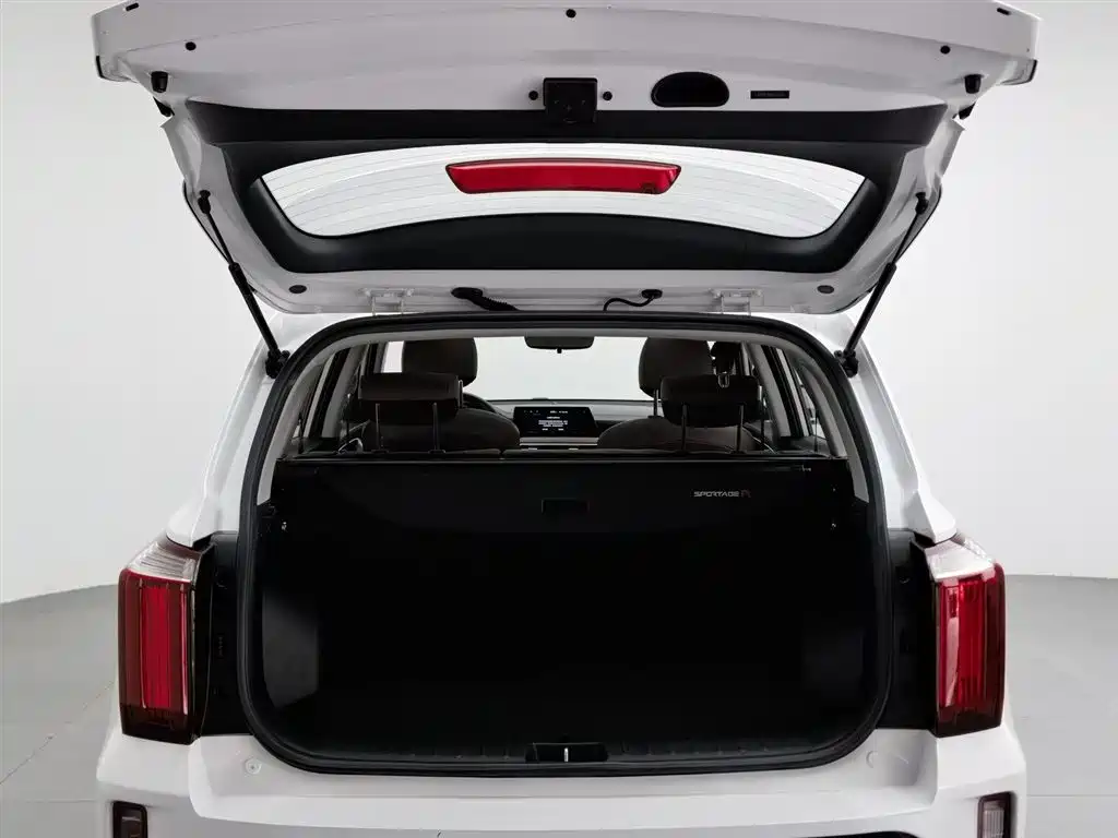 Kia Sportage 2021 Ace 2.0L Brilliant Edition фото 16