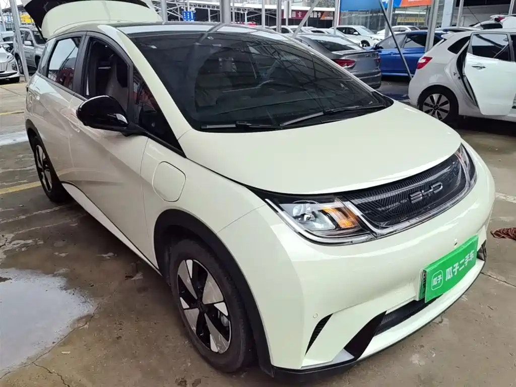 BYD Dolphin 2023 420km Fashion Edition фото 22