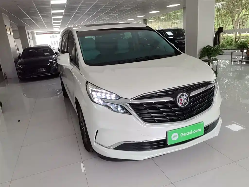Buick GL8 2022 ES Landmark 653T Comfort фото 4
