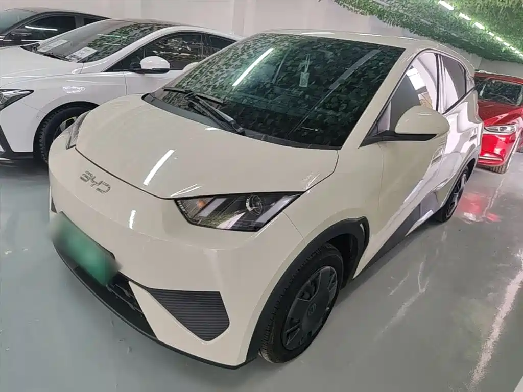BYD Seagull 2025 Smart Drive Edition 305km Vitality Version