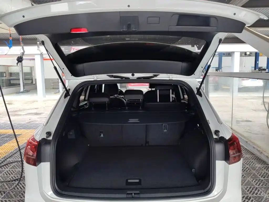 VOLKSWAGEN TANYUE