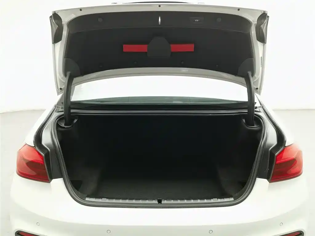 BMW 5 Series 2020 530Li Leading M Sport Package фото 16