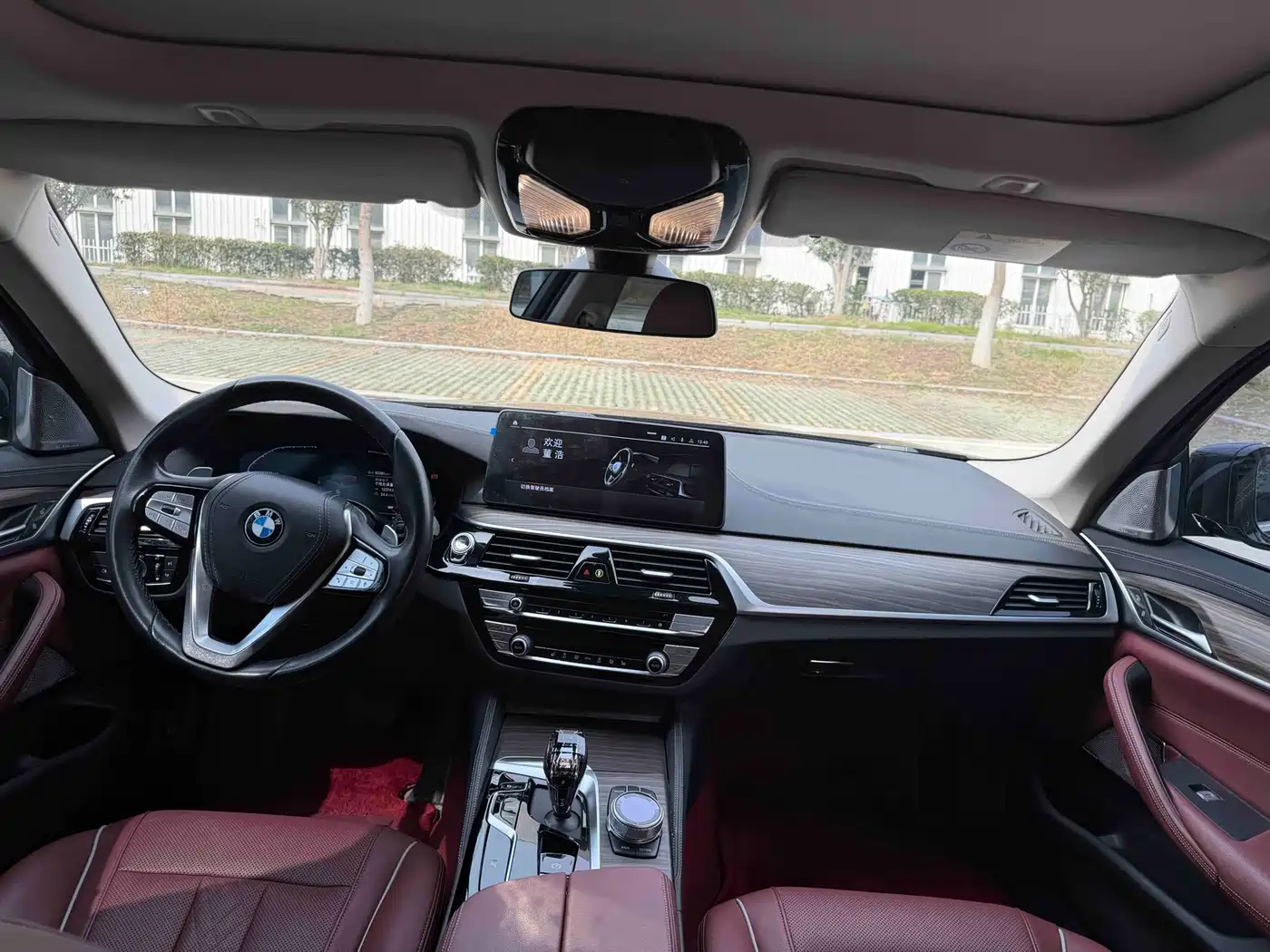 BMW 5 Series 2022 530Li Leading Luxury Package фото 13