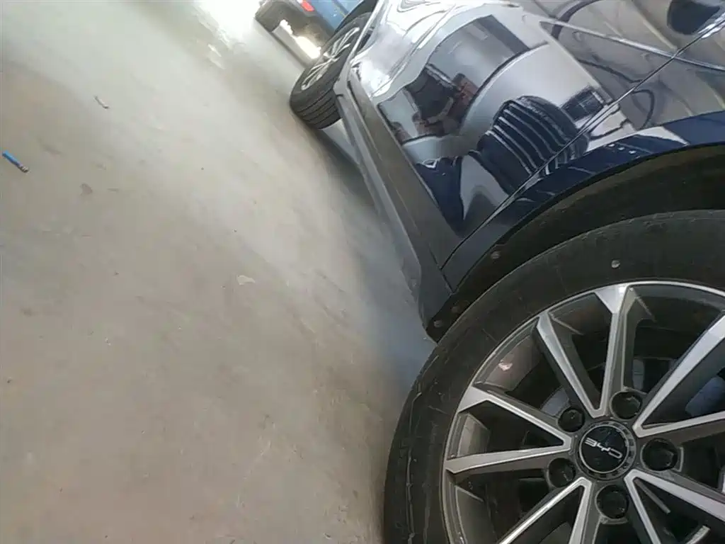 BYD Destroyer 05 2024 Glory Edition DM-i 55KM Luxury фото 21