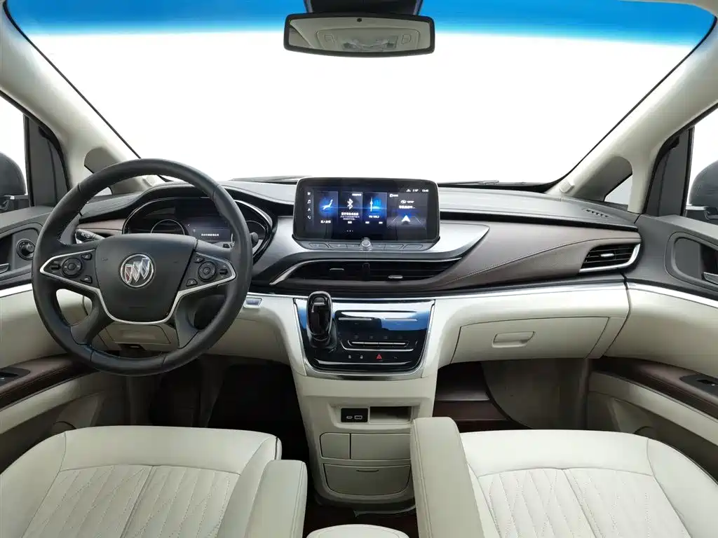 Buick GL8 2021 Land Business Class 652T Luxury фото 5