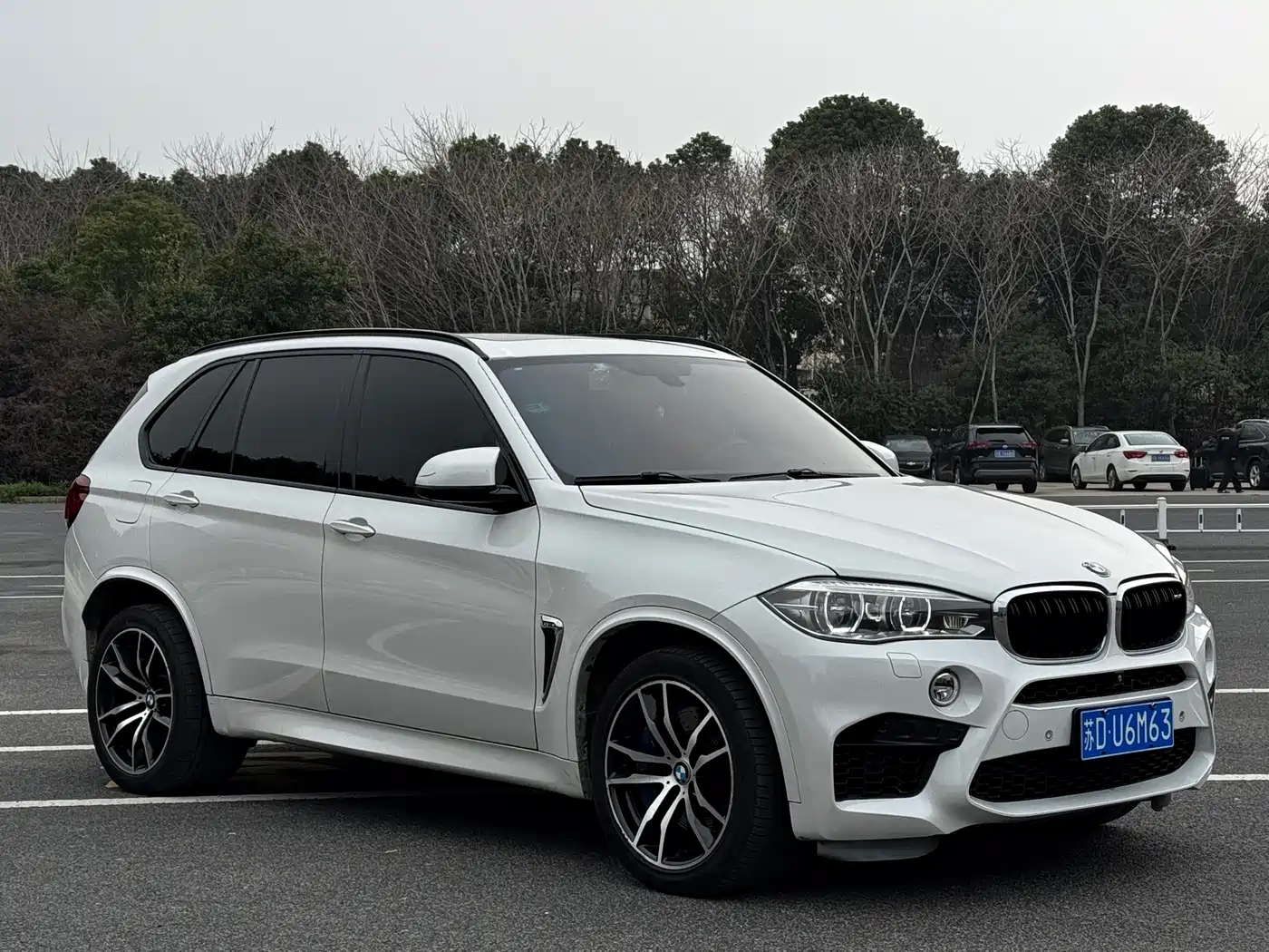 BMW X5 M 2015 X5 M