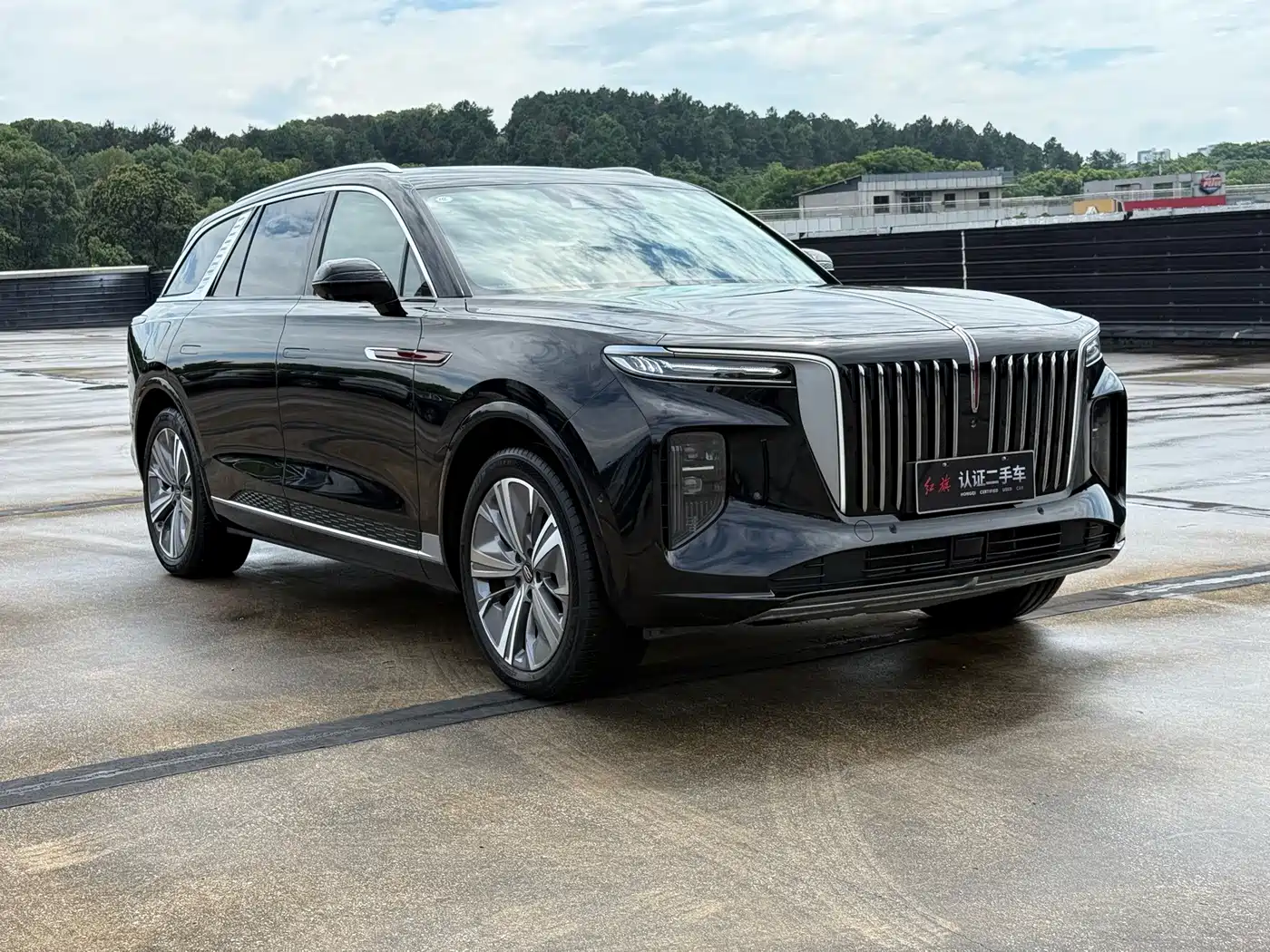 2023 Hongqi E-HS9