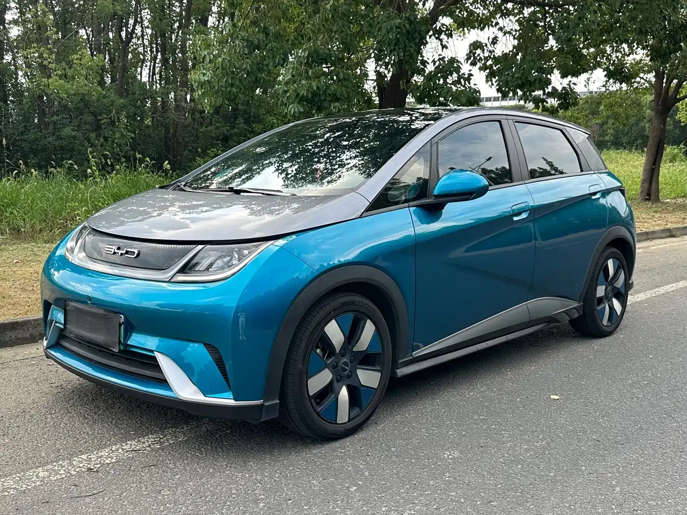BYD Dolphin 2021 401km Knight Edition