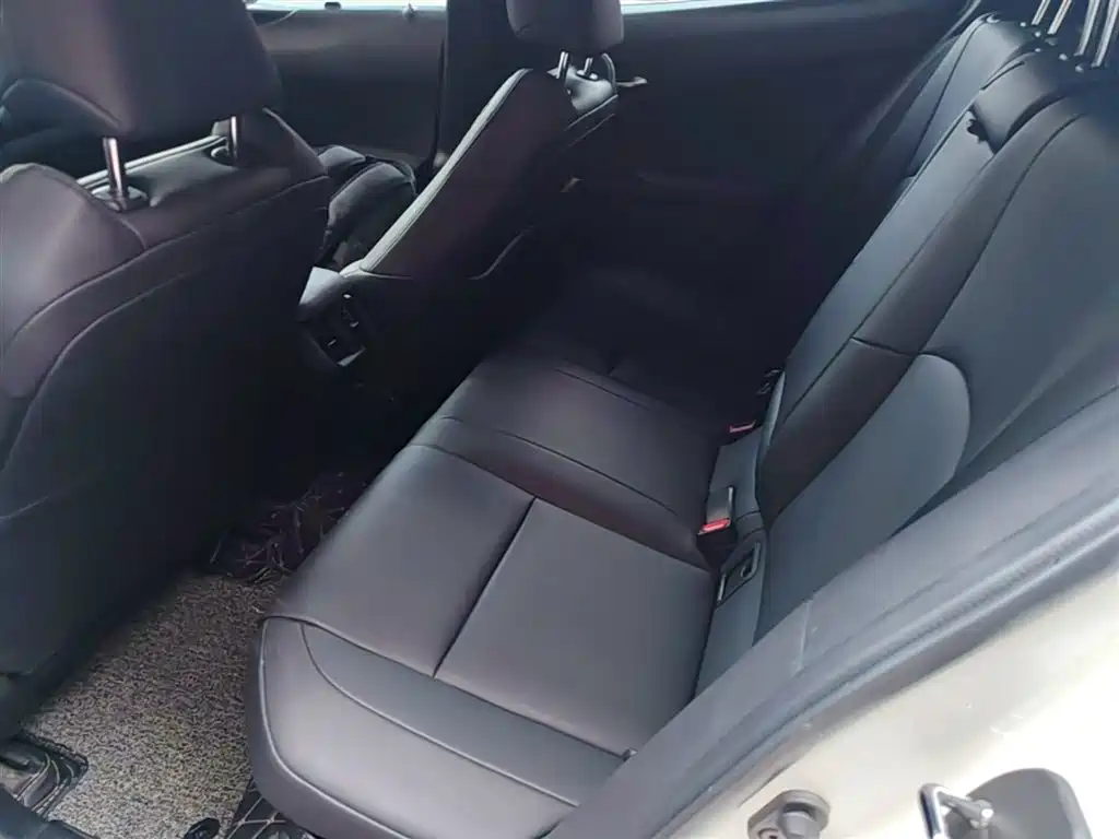 Lexus UX 2019 260h Explorer Cool Edition (China V) фото 17