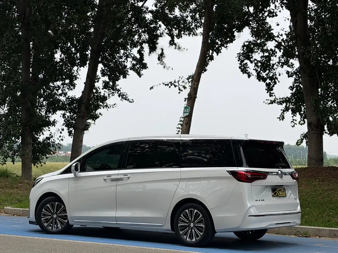 Buick GL8 2023 ES Landmaster Luxury фото 4