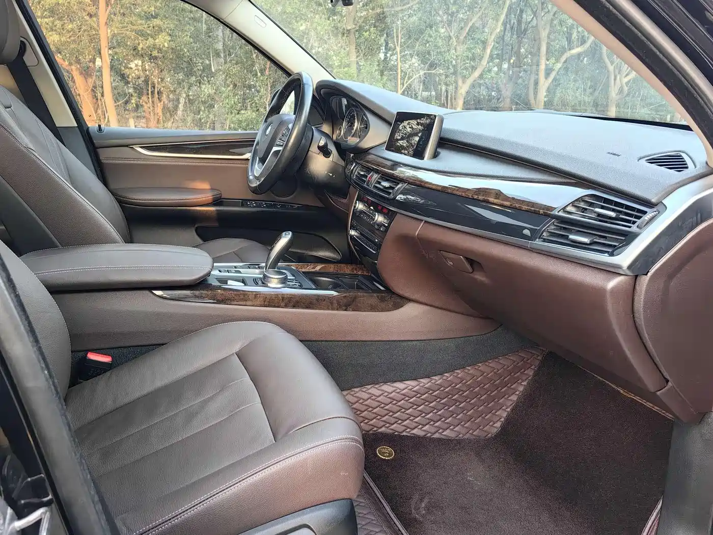 BMW X5 (Import) 2017 xDrive35i Elegance фото 3
