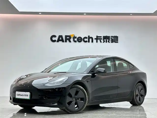 Tesla Model 3 2022 Model Rear-Wheel Drive Version