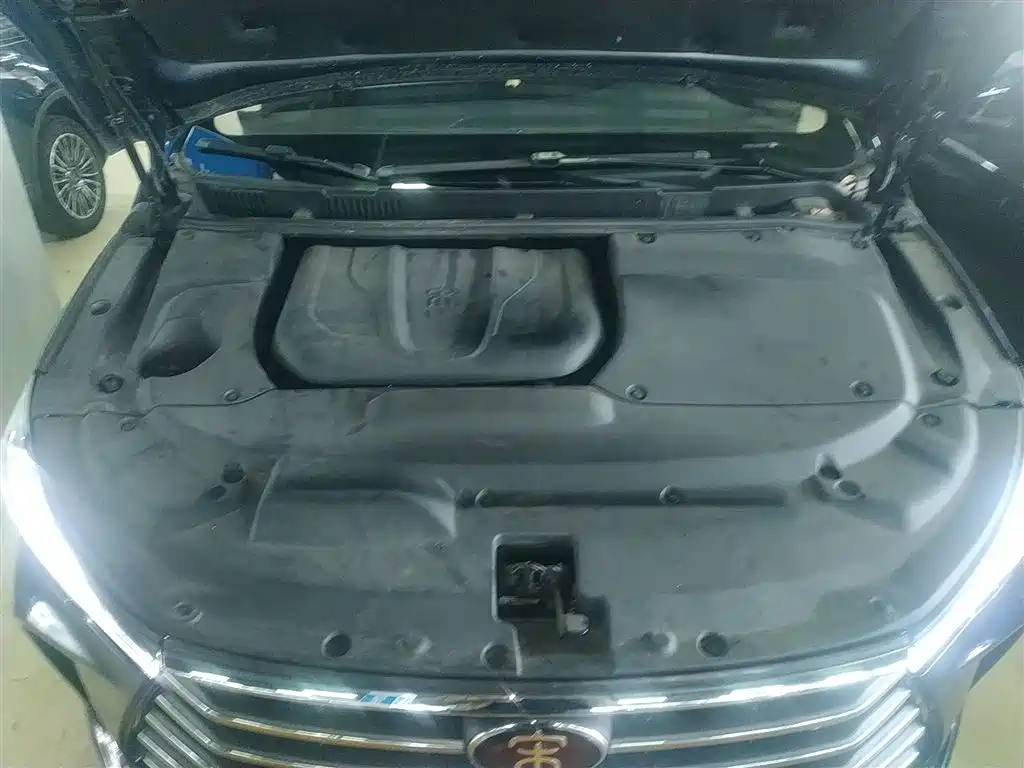 BYD Song MAX 2017 1.5T Auto Smart Elite 7-Seater фото 20