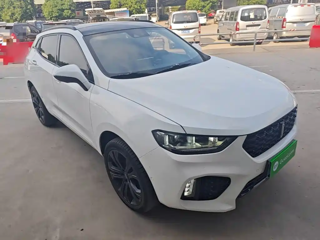 WEY VV5 2017 2017 2.0T Flagship Model