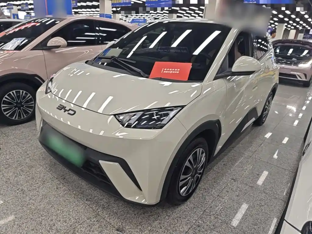 BYD Seagull 2024 Glory Edition 305km Vitality Edition