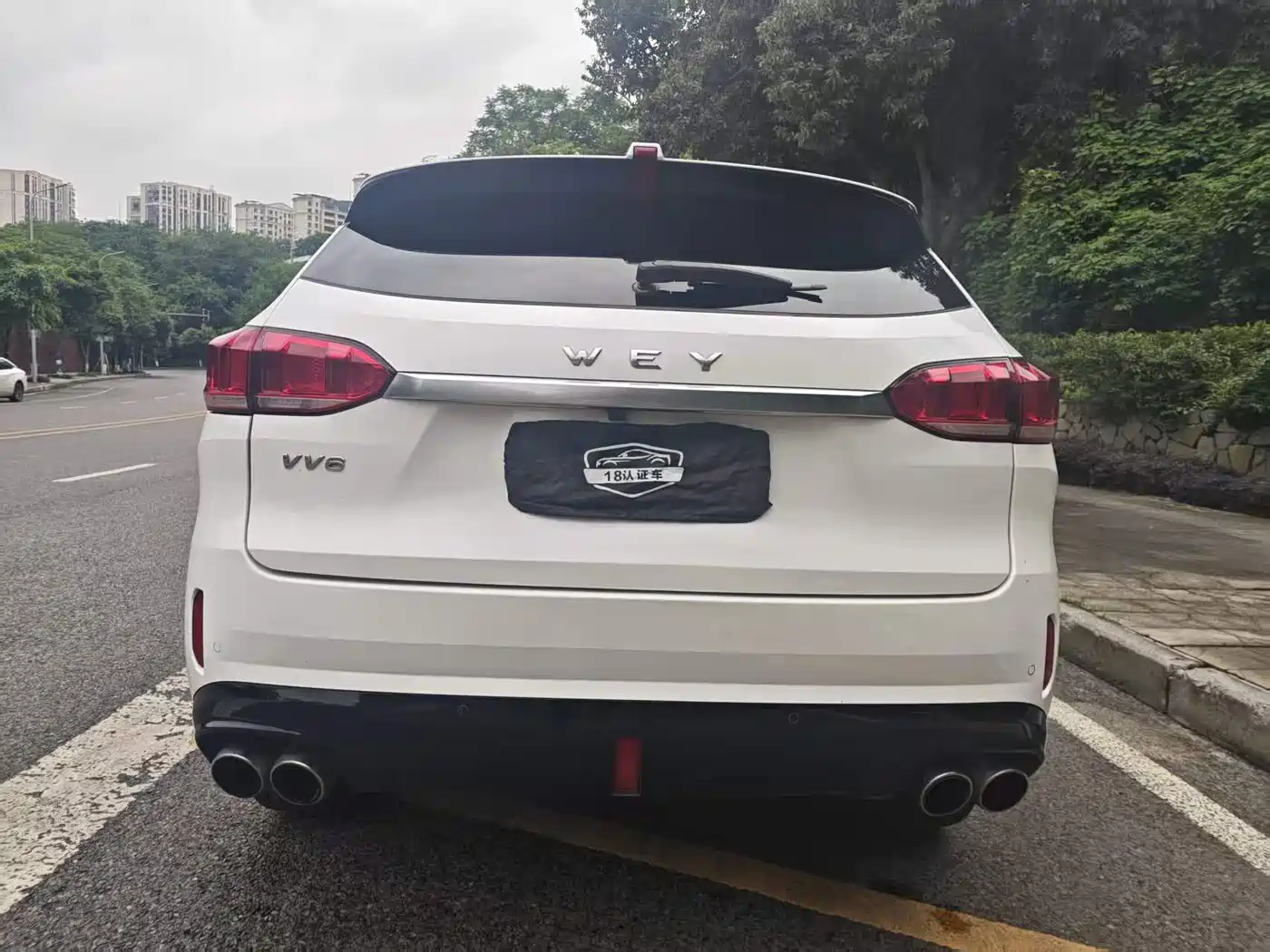 WEY VV6 2018 2018 2.0T 2WD Flagship China V
