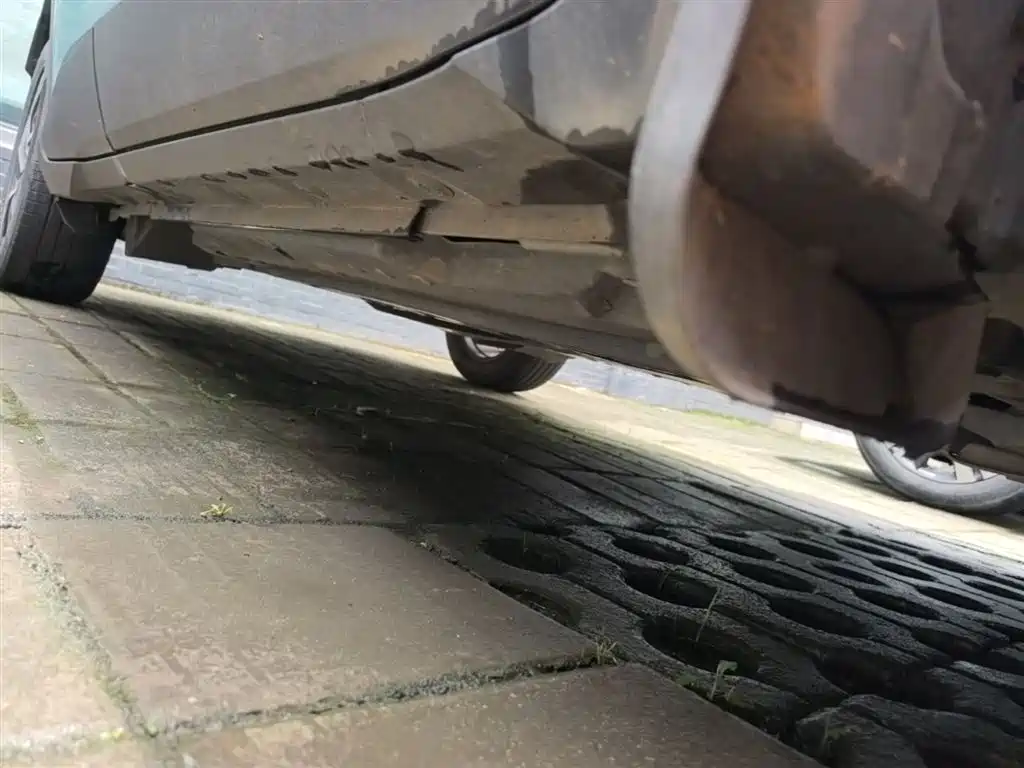Toyota C-HR 2018 2.0L Leading Edition China V фото 2